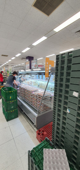 9일 서울 강서구 이마트 가양점에서 직원 '알찬란'을 진열하고 있다. <사진= 김수연 기자>